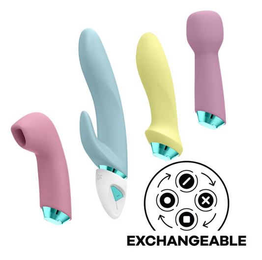 Satisfyer Fabulous Four